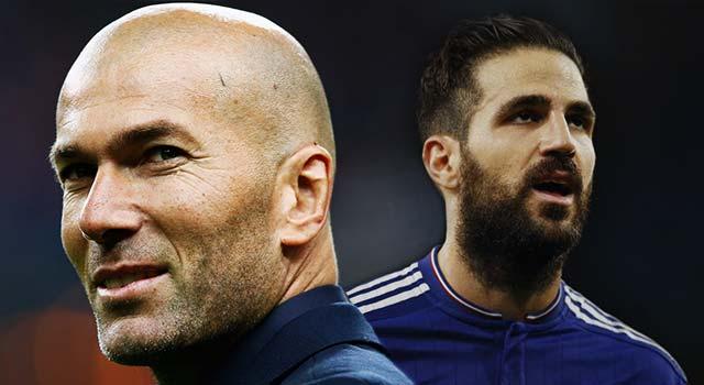 Zidane,Fabregas