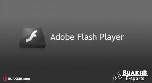 Adobe Flash Player