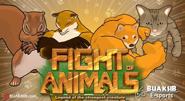 Fight of Animals